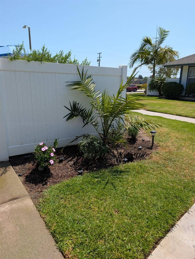 Looking for 1 roommate