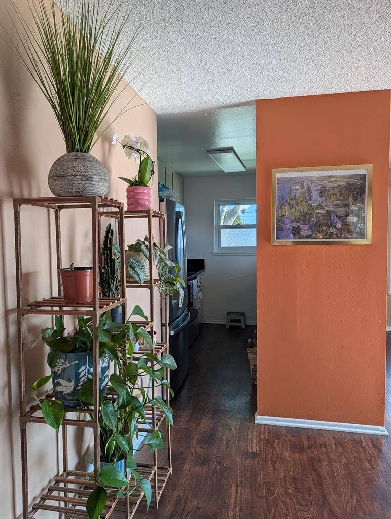 Looking for 1 roommate