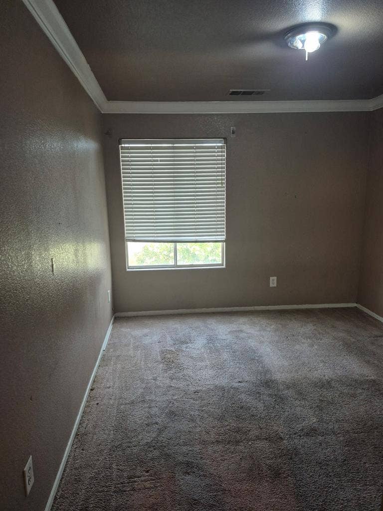 Looking for 2 roommates to share
