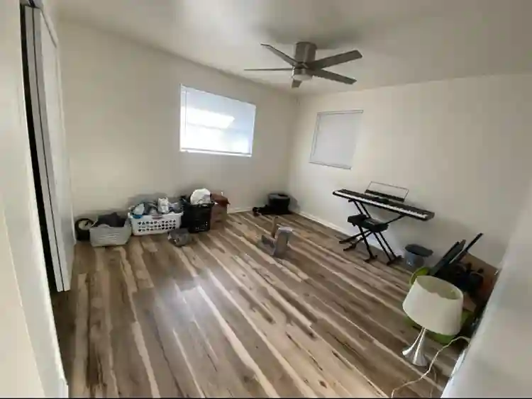 Need roommate asap