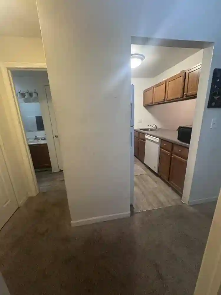 Furnished Shared Space Available