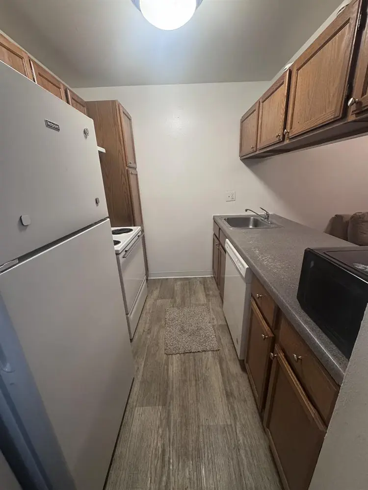 Furnished Shared Space Available