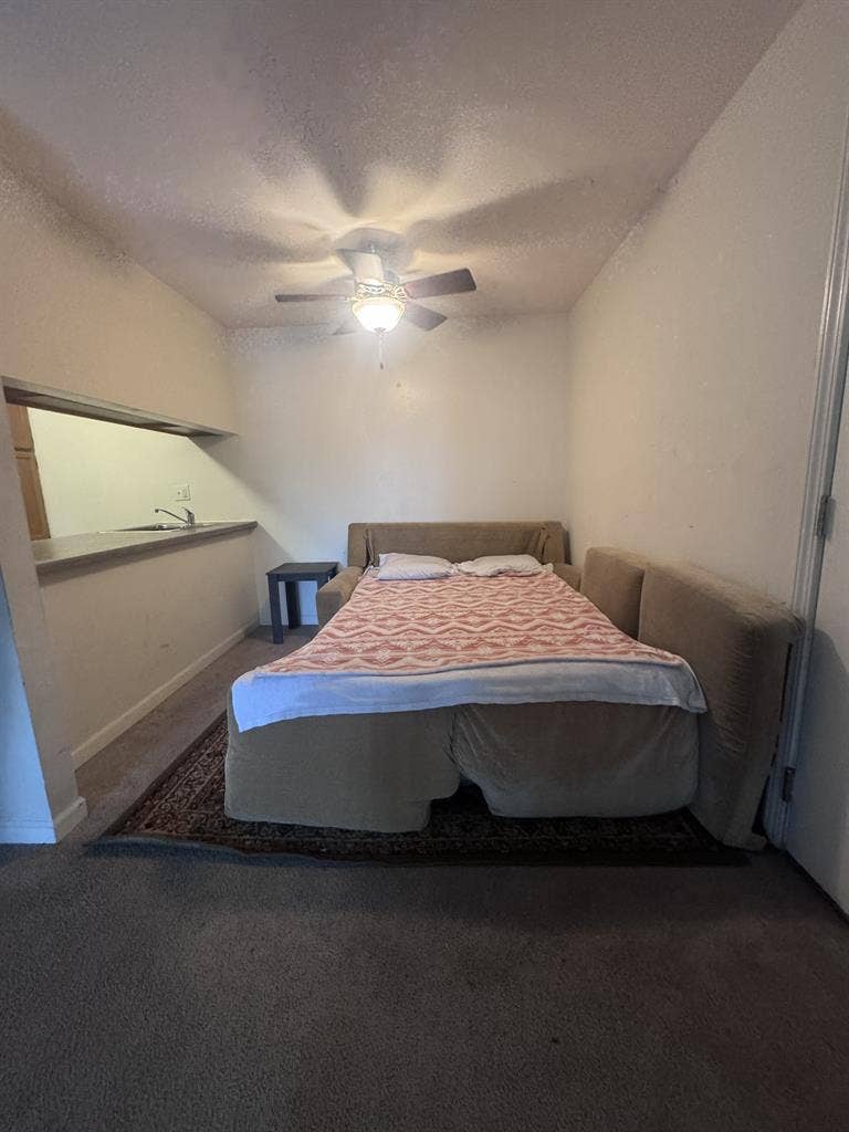 Furnished Shared Space Available
