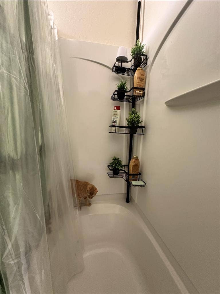Private Bedroom + Private Bath 🏡🛁