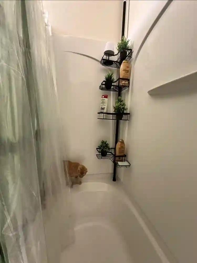 Private Bedroom + Private Bath 🏡🛁
