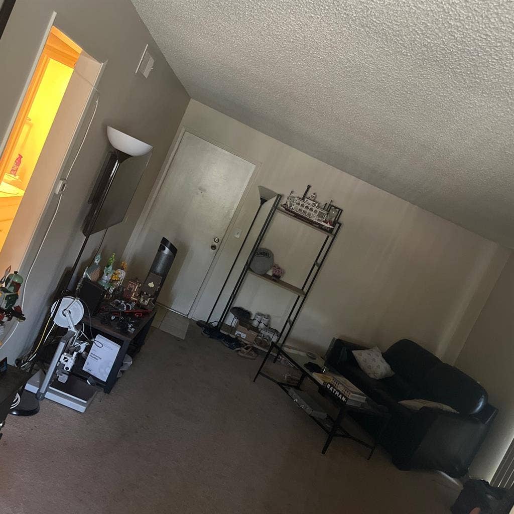LOOKING FOR ROOMMATE