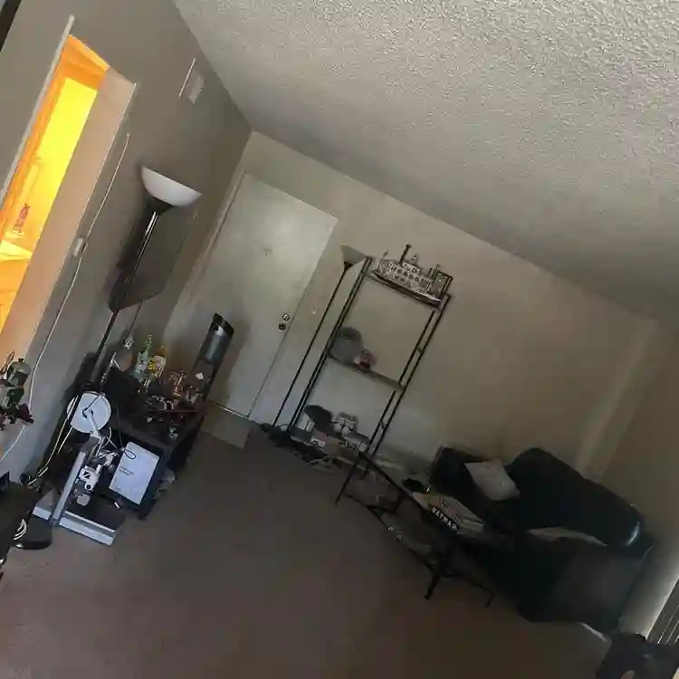LOOKING FOR ROOMMATE