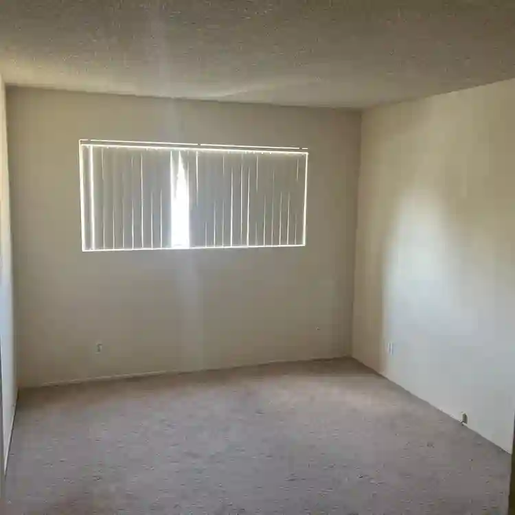 LOOKING FOR ROOMMATE