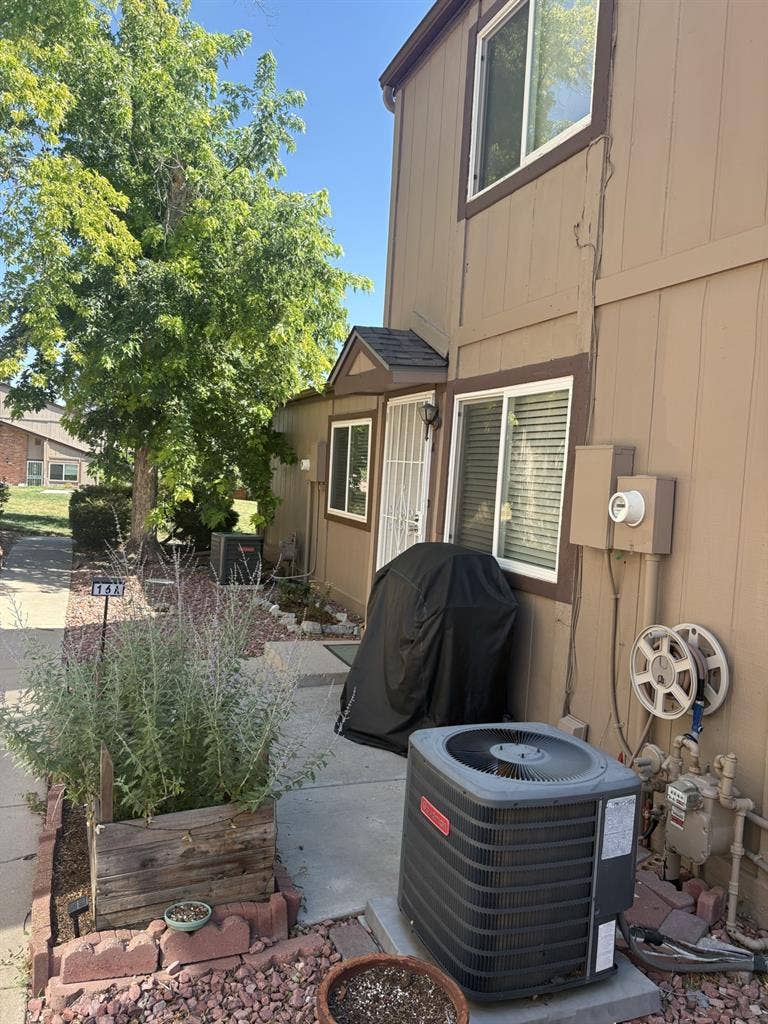 Roommate wanted
