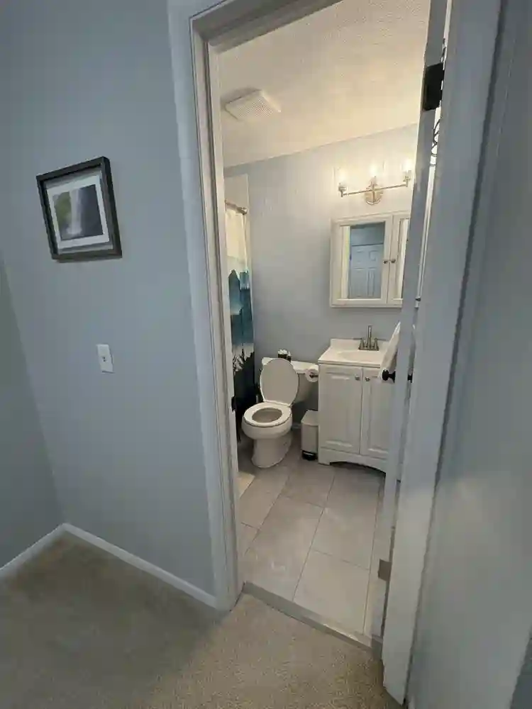 Roommate wanted