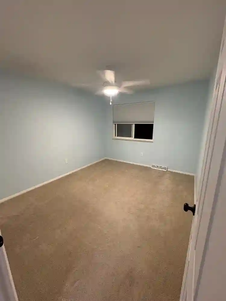 Roommate wanted