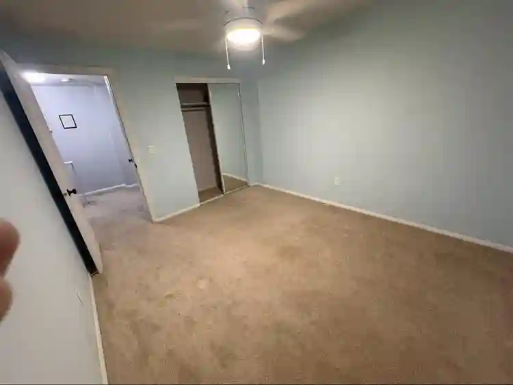 Roommate wanted
