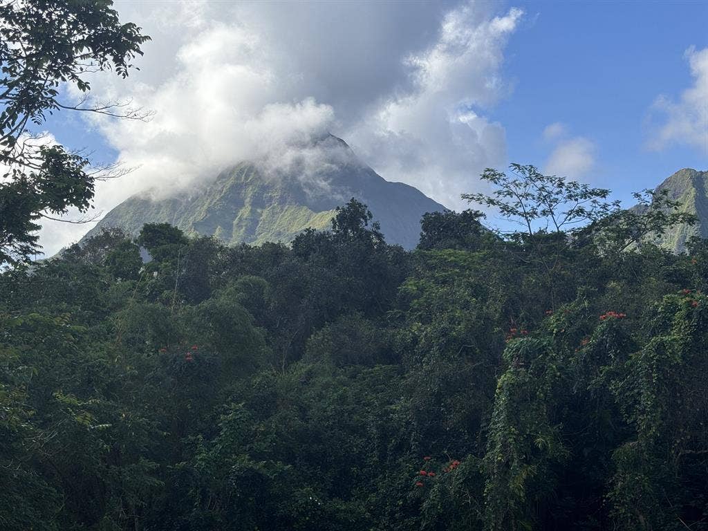 Kaneohe