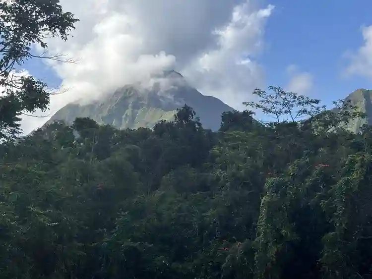 Kaneohe