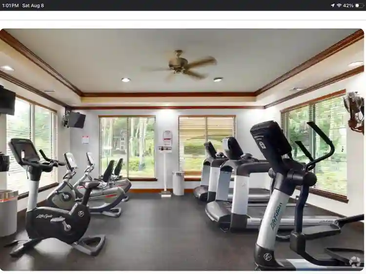Roommate needed