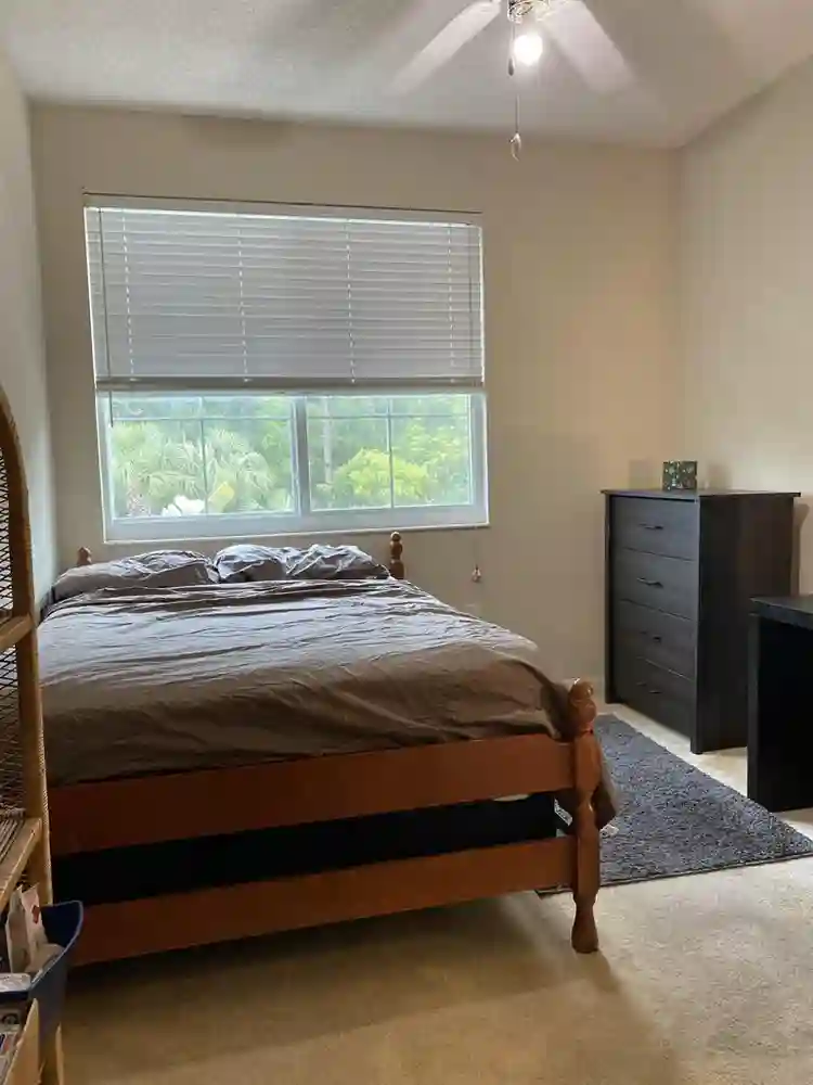 Roommate needed