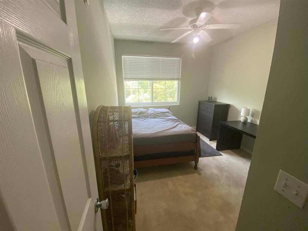Roommate needed