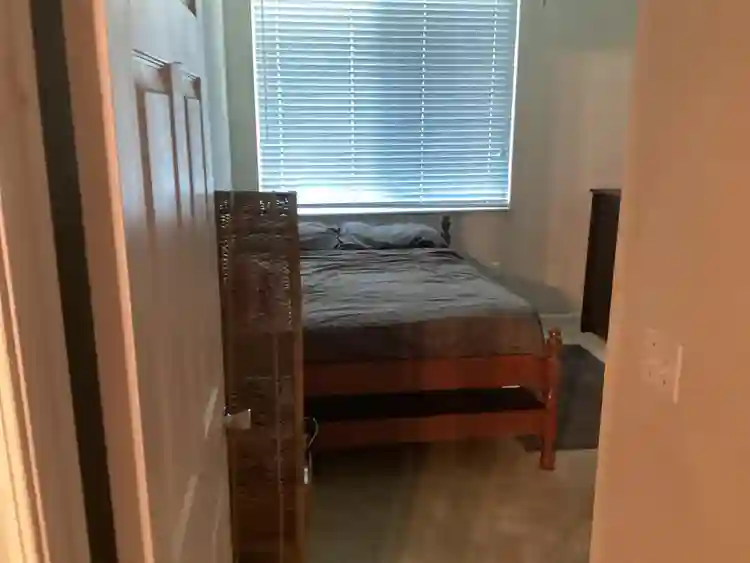 Roommate needed