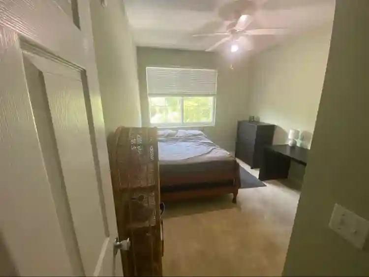 Roommate needed