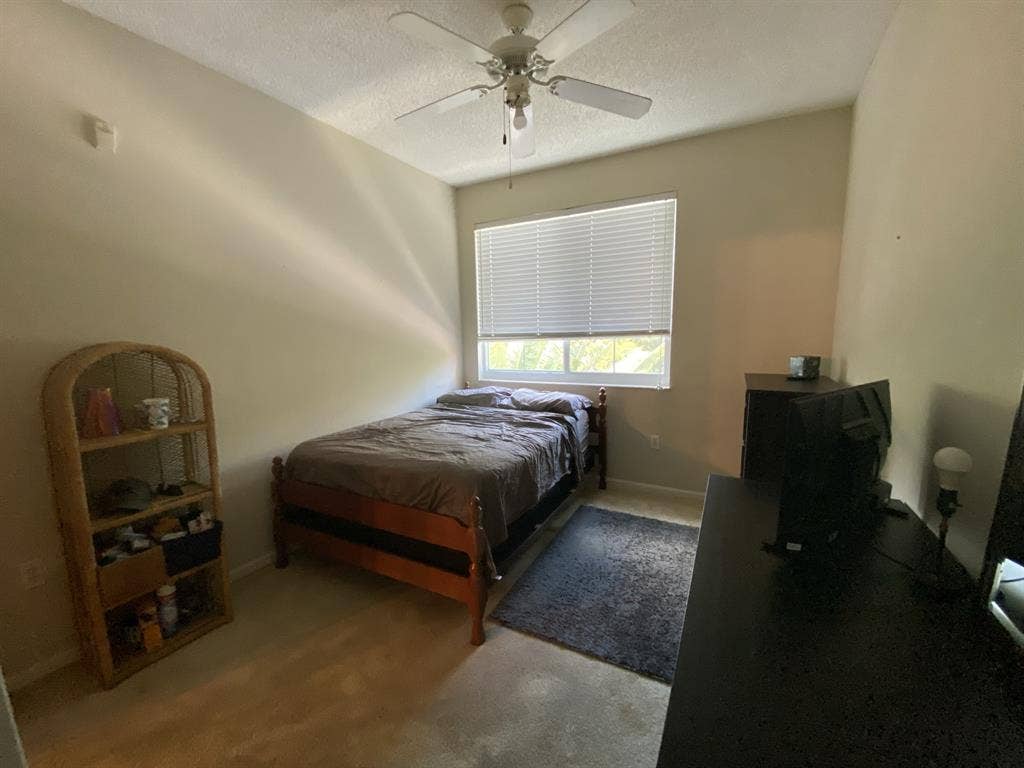 Roommate needed