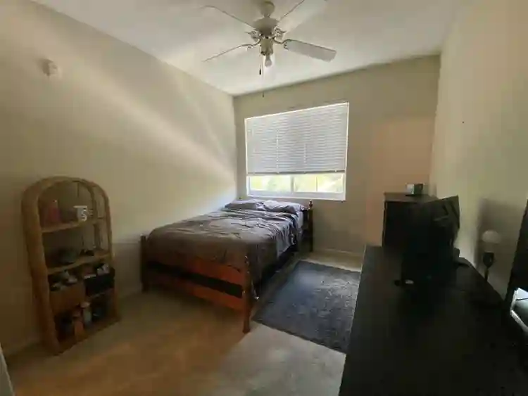 Roommate needed