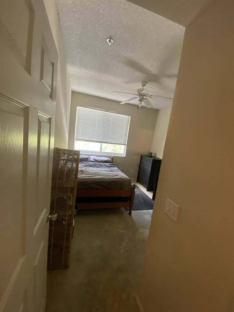 Roommate needed