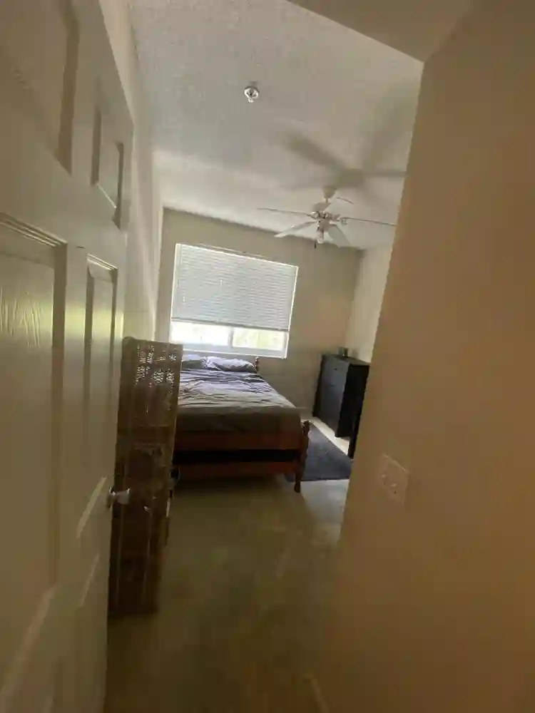 Roommate needed