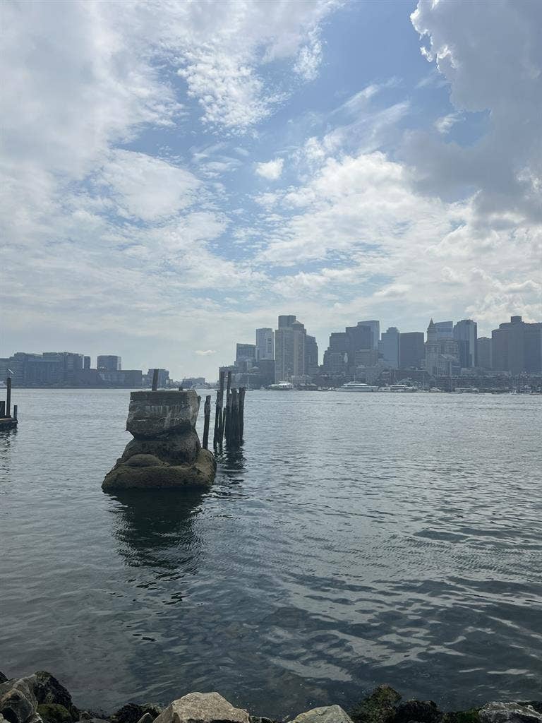 Steps to blue line and ferry.