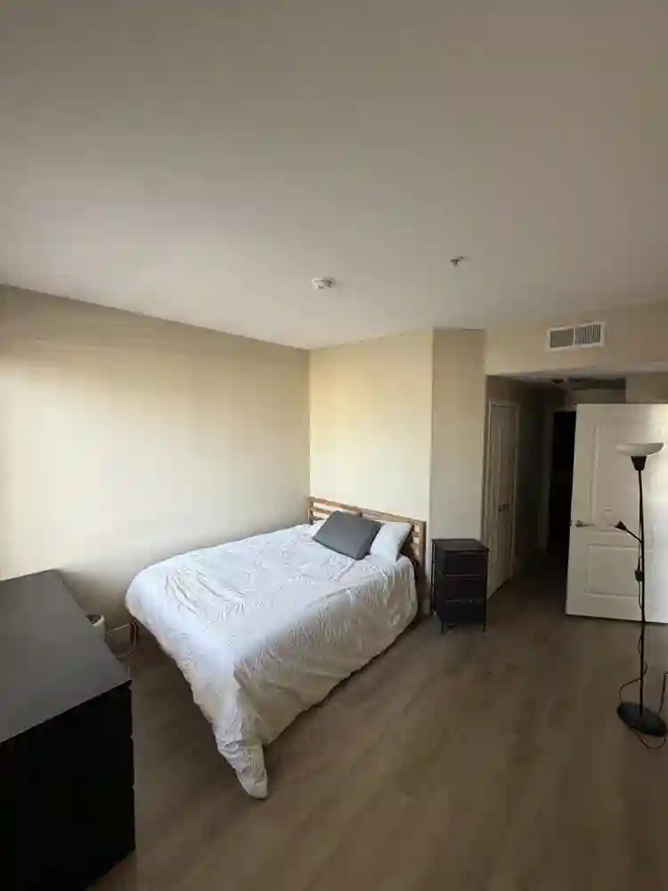 Roommate Wanted