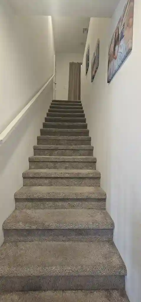 Come stay