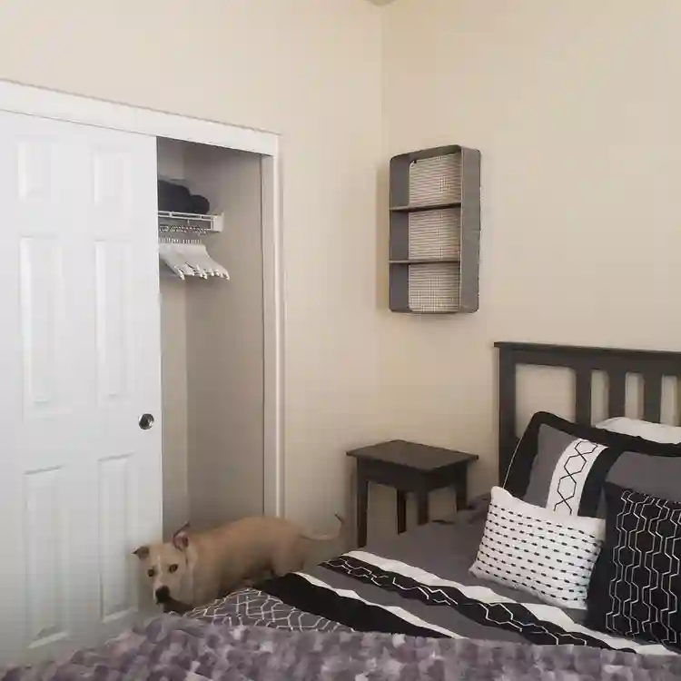 Natomas Room For Rent $890