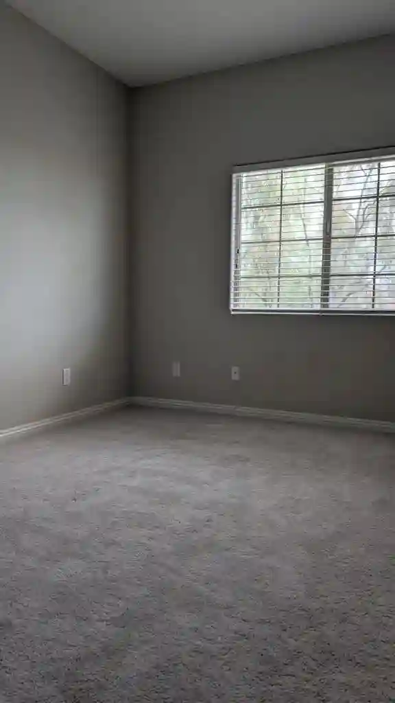 Room available today!