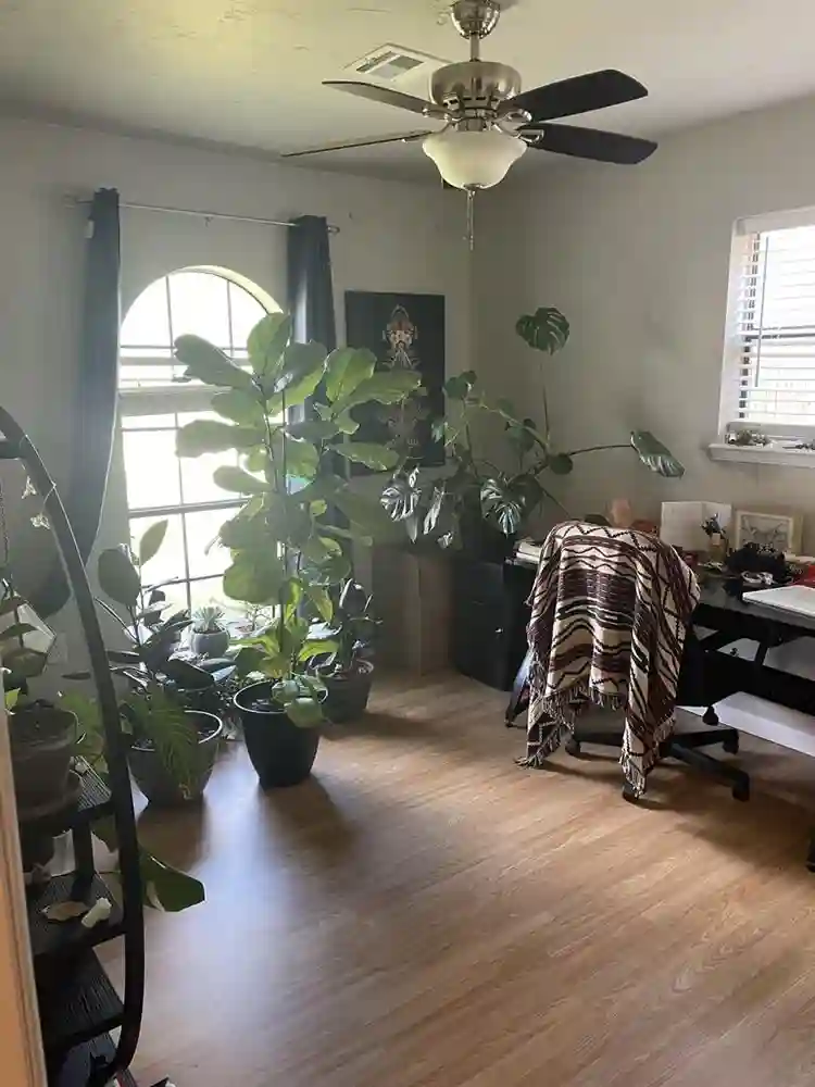 700/month including utilities