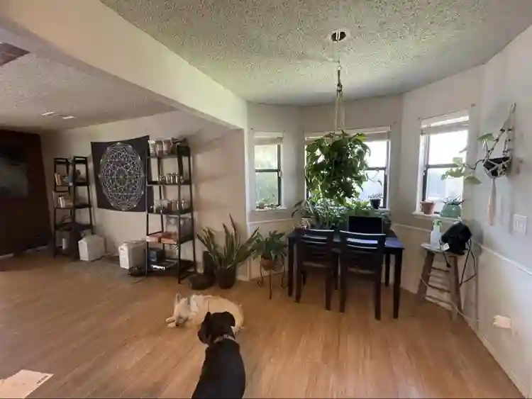 700/month including utilities