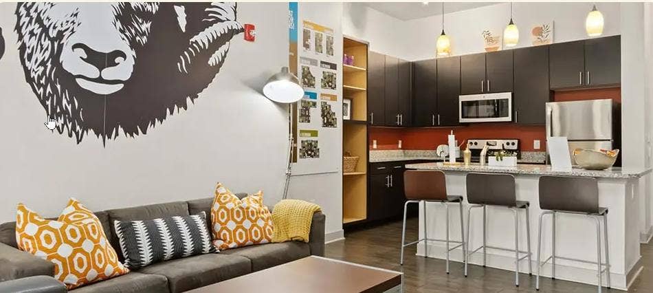 Female Roommate Needed ASAP