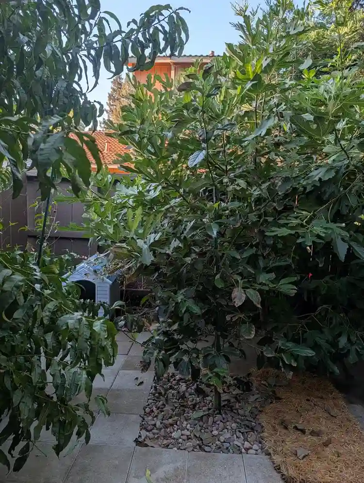 Affordable spare room in Modesto.