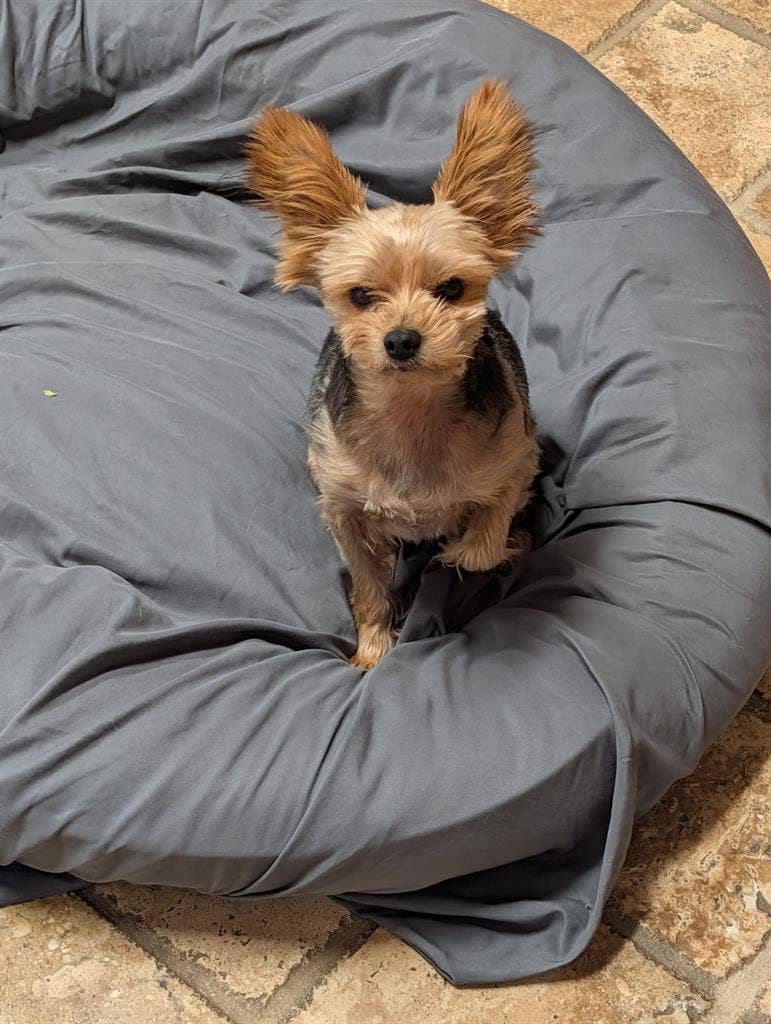 Affordable spare room in Modesto.