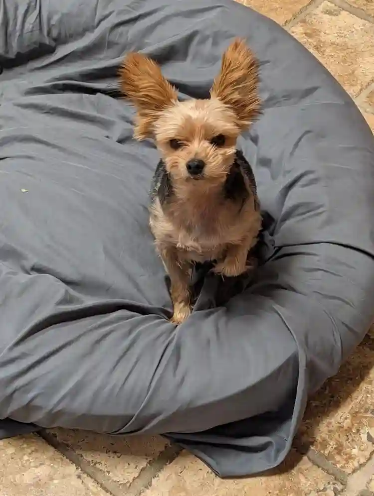 Affordable spare room in Modesto.