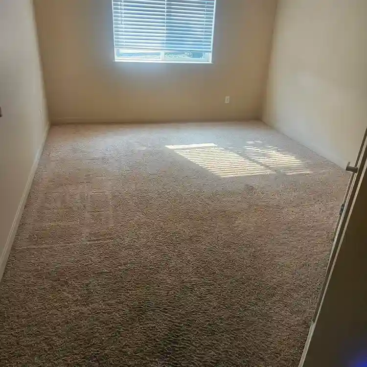 Looking for a new roommate.