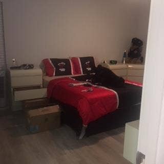 Looking for friendly roommate
