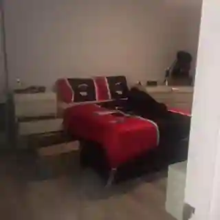 Looking for friendly roommate