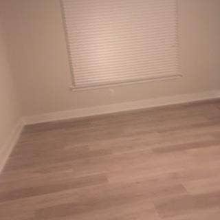 Looking for friendly roommate