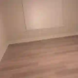 Looking for friendly roommate