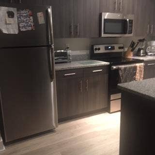 Looking for friendly roommate