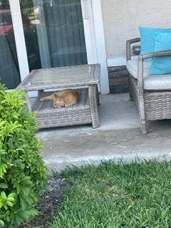 Looking for friendly roommate