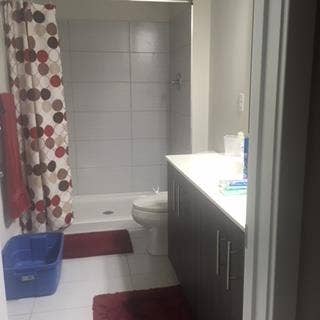 Looking for friendly roommate