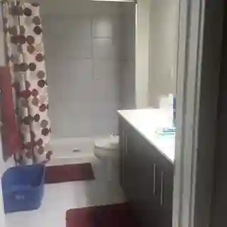 Looking for friendly roommate