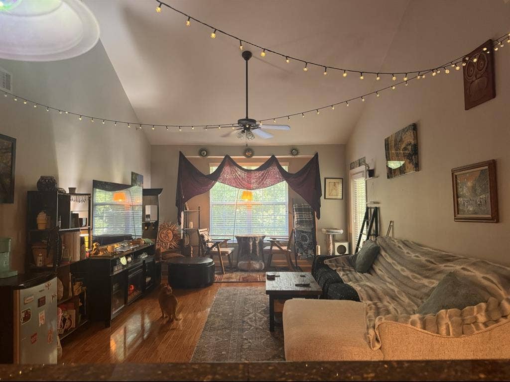 Seeking Female Roommate in Franklin