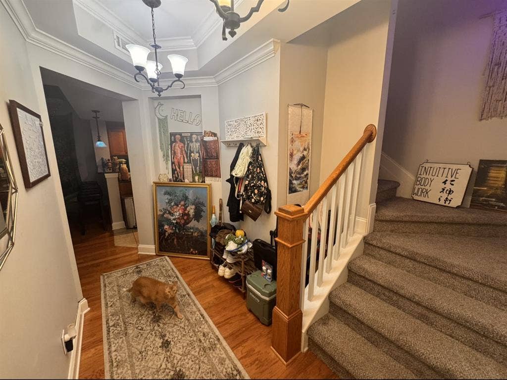 Seeking Female Roommate in Franklin