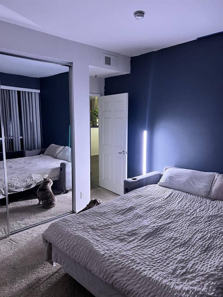 Spacious room for rent in Larchmont